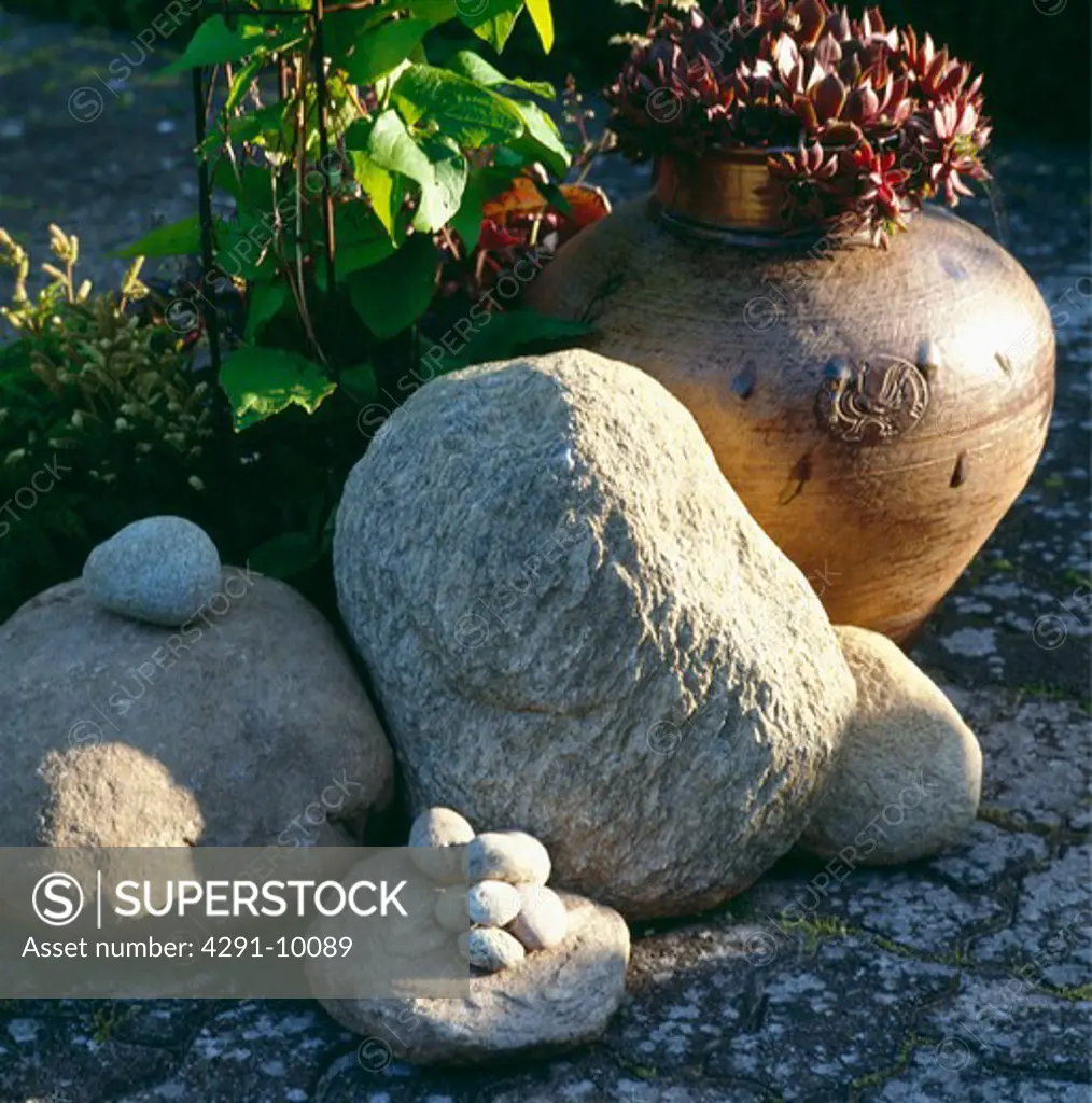 Close-up of large smooth stones and aeoniums in pot