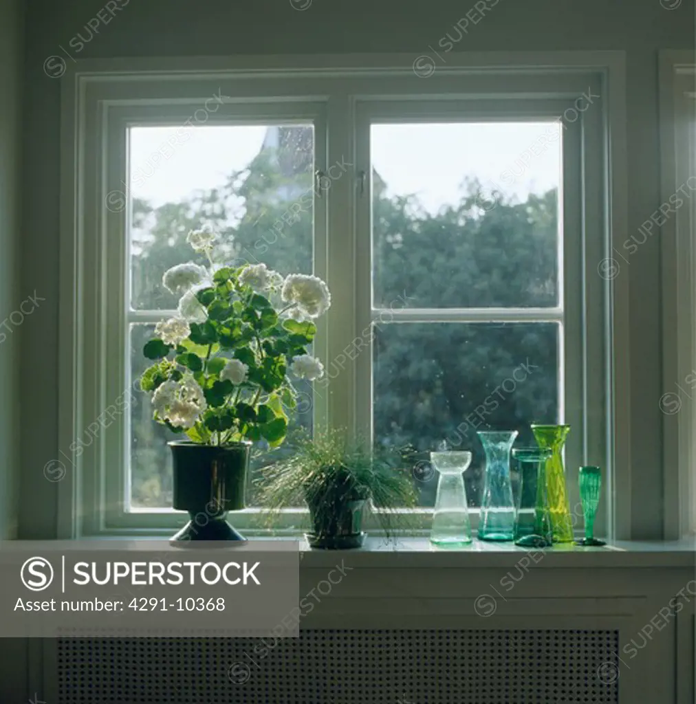White geranium and colourful bulb vases on window sill