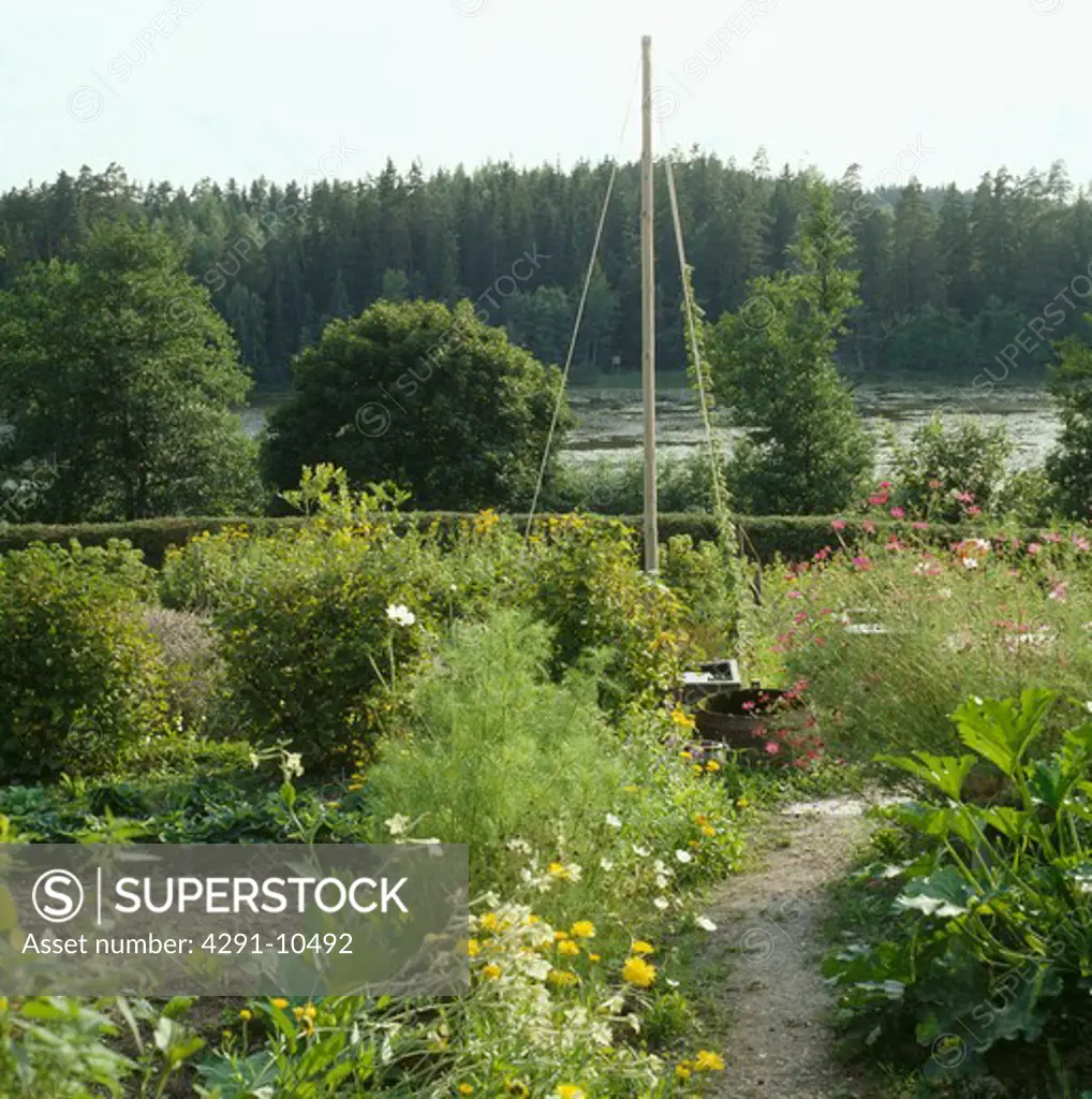 Wooden plant support in country vegetable garden