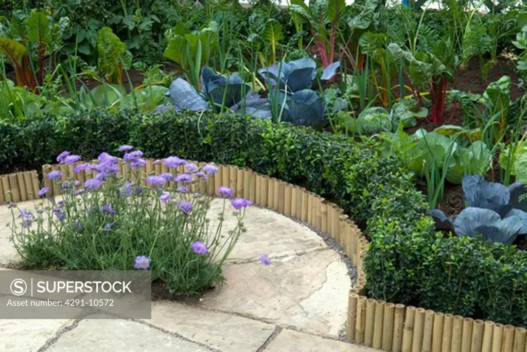 Vegetable planting in border with low box hedging (Country Greenhouses Ltd/Chelsea Flower Show 2007)