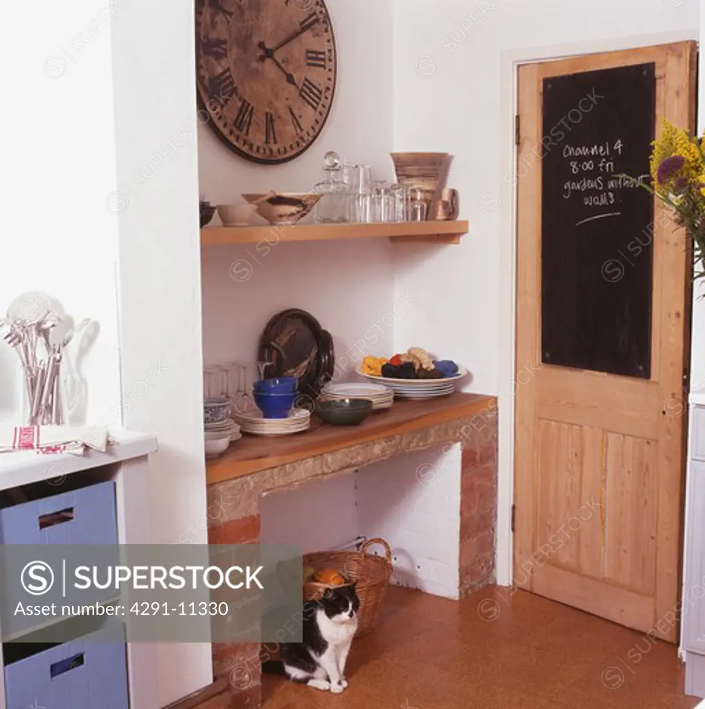 Cat sitting below shelves in kitchen with blackboard on door
