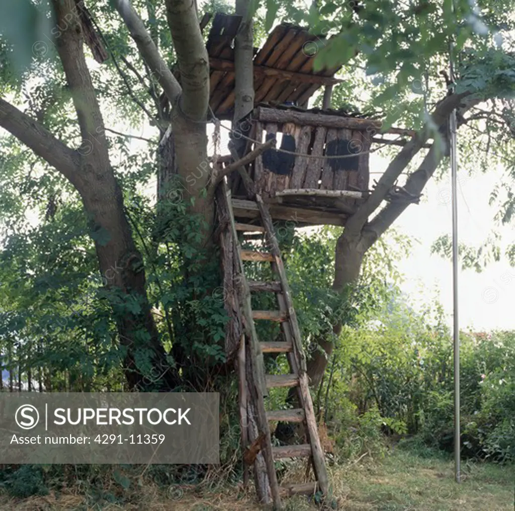 Large tree with wooden tree-house and ladder in country garden