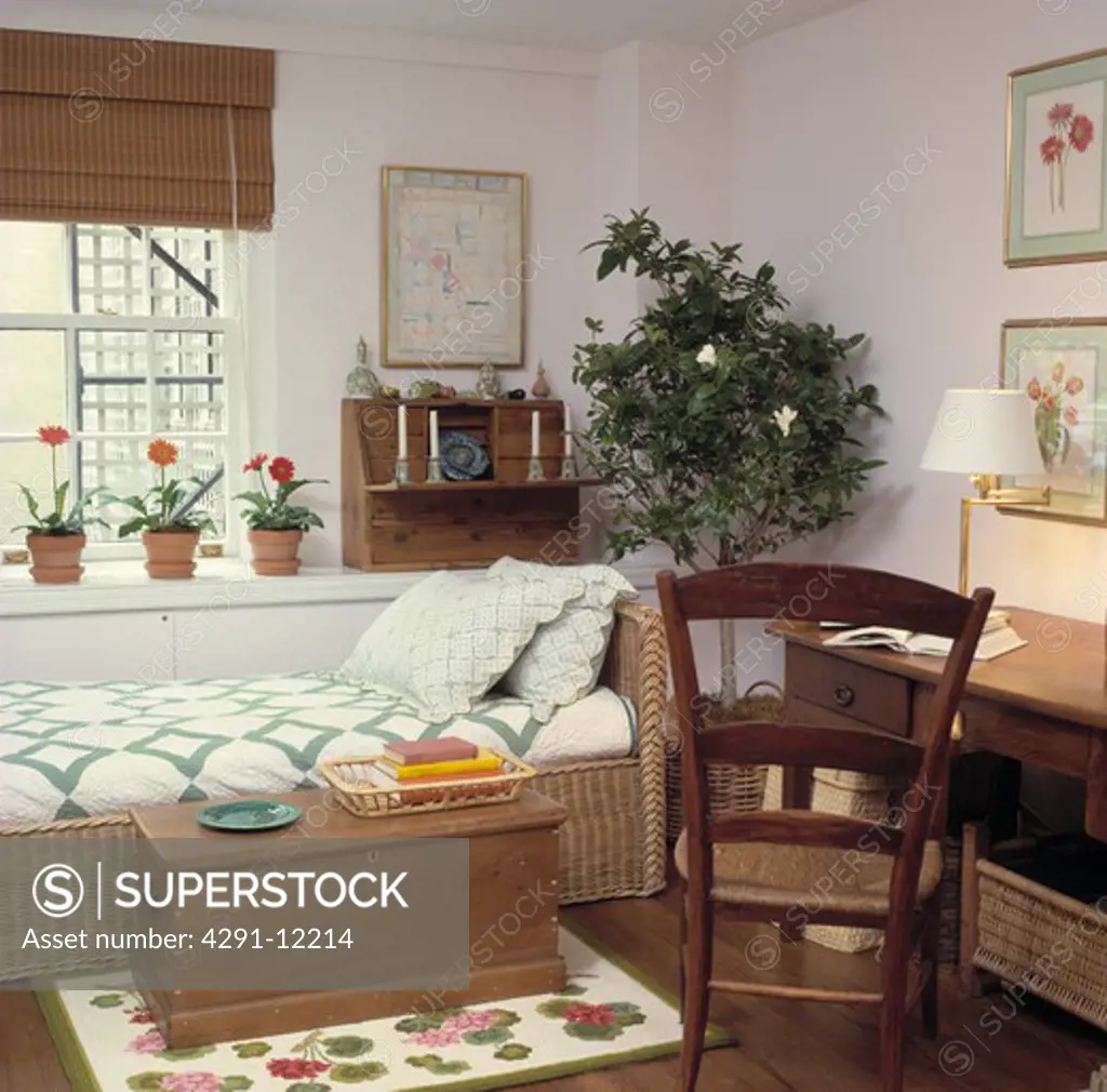 Wooden chest in front of wicker bed with green and white cover in bedroom with small tree in pot beside desk and chair