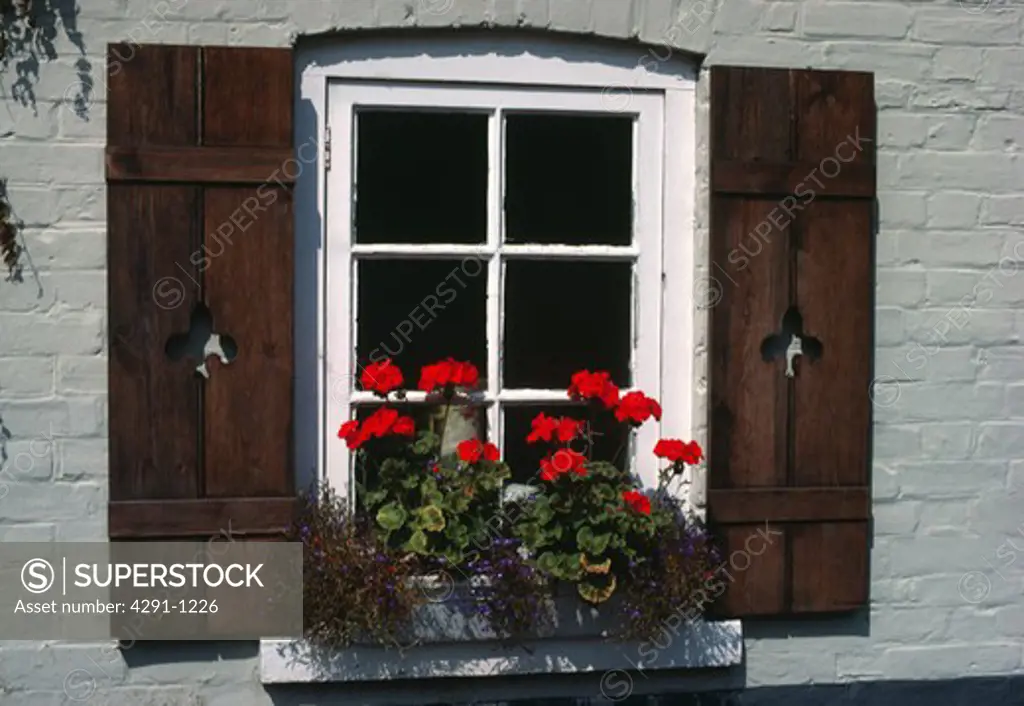 Close up of window with wooden shutters and red geraniums in window box