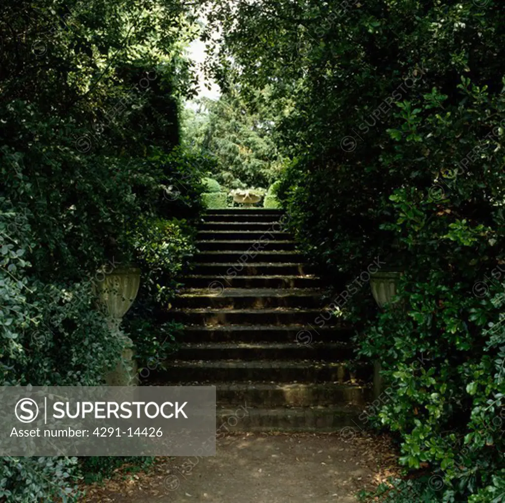 Shady stone steps in country garden in summer