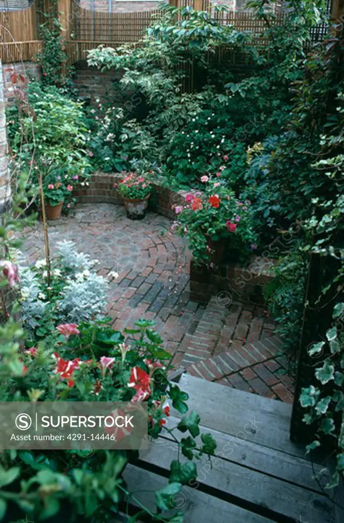 Flowering plants in pots in small paved basement garden