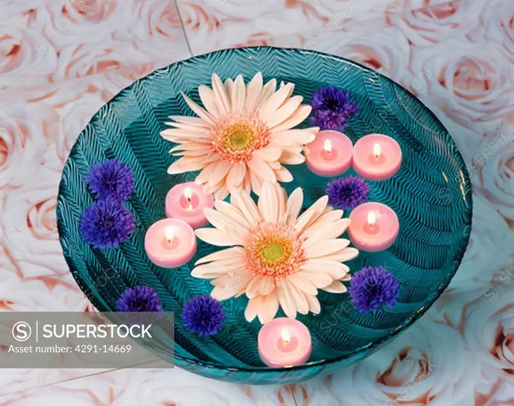 Close-up of pink gerberas with pink floating candles in blue glass bowl