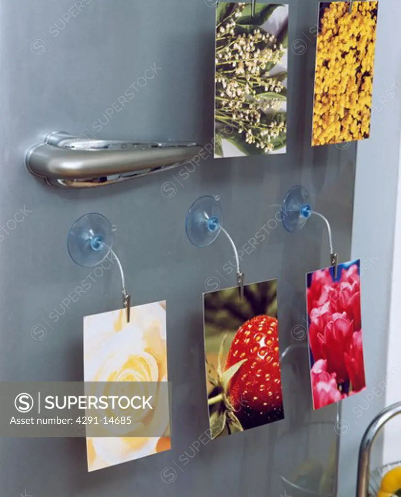 Close-up of door with photographs on suction clips