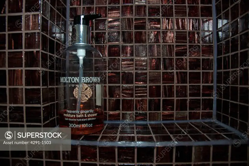 Close up of shower gel on brown mosaic tiled alcove shelf