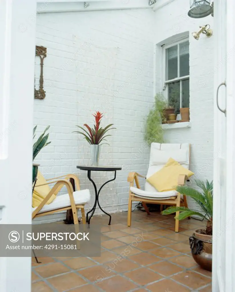 Yellow cushions on white chairs in small townhouse conservatory