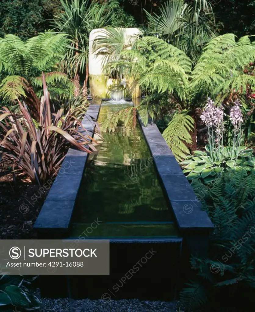 Lush green ferns with phormium and hostas growing beside rectangular pool with sculptural water feature