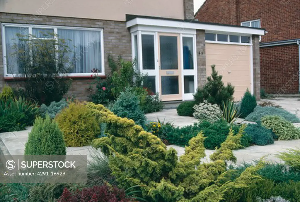 Low conifer shrubs in paved garden in front of suburban house with attached garage