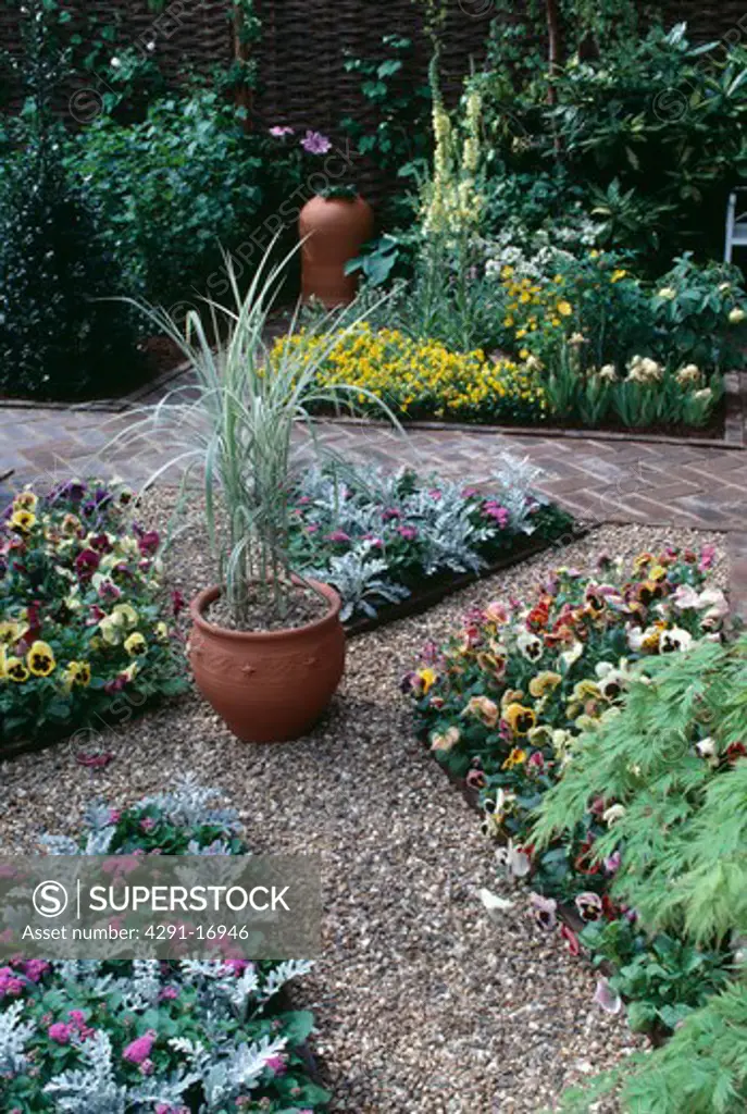 Grasses in terracotta pot on gravel with triangular beds of pansies in small garden with herrinbone brick path