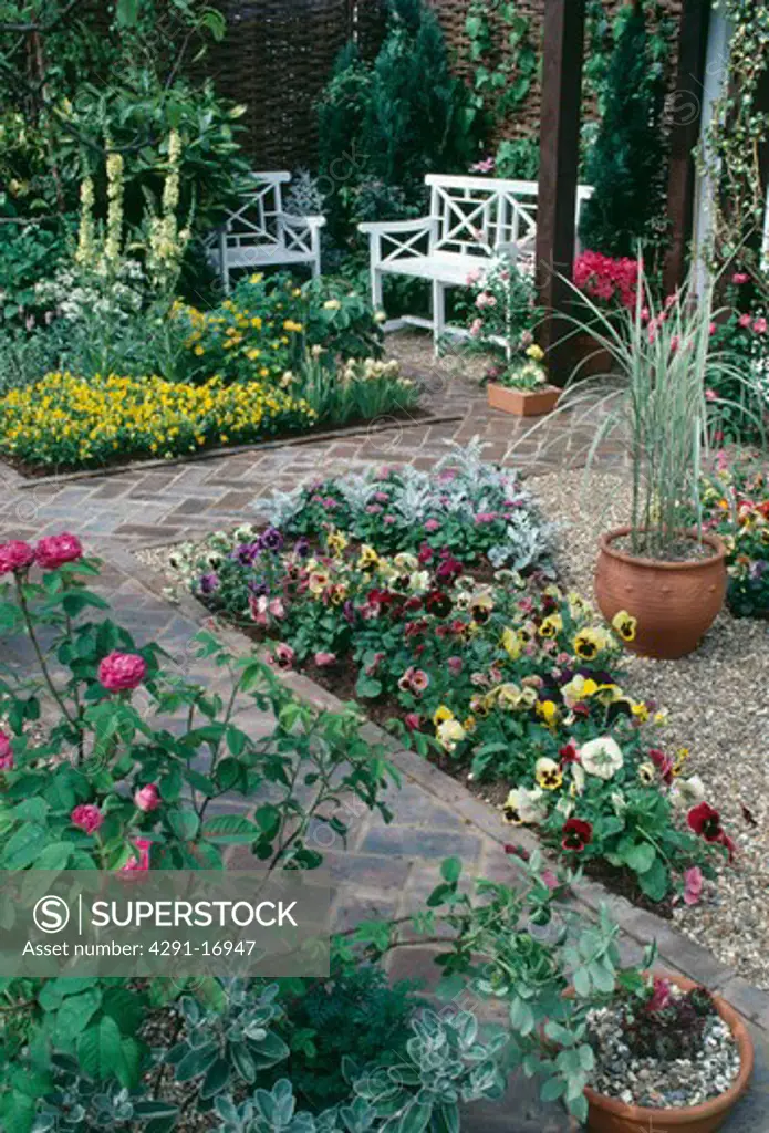 Herringbone brick paths and white benches in small garden with pansies in triangular bed beside grasses in pot