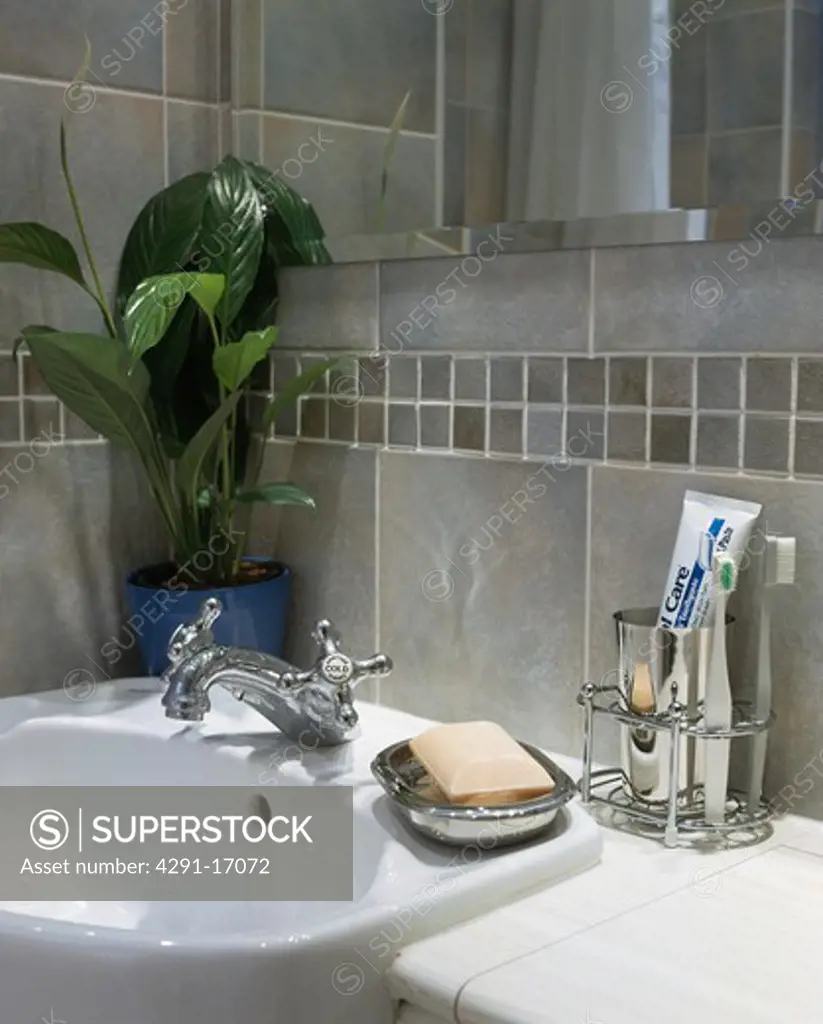 Close-up of houseplant and white basin in modern grey tiled bathroom