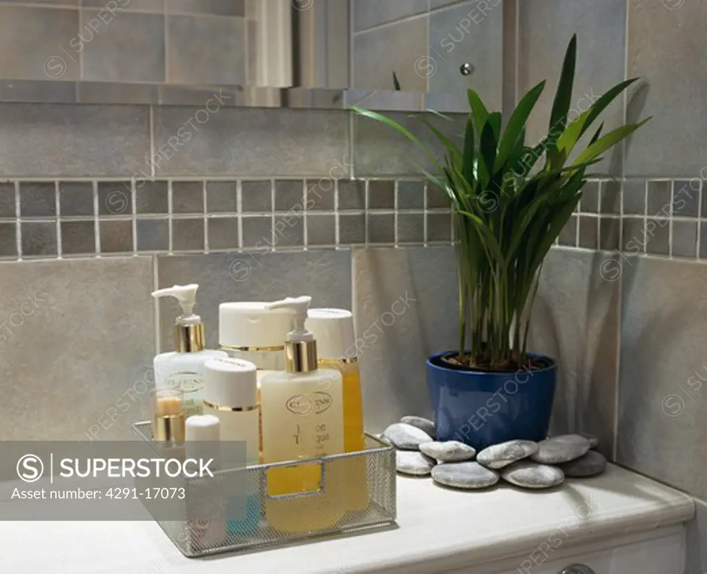 Close-up of toiletries in glass container beside houseplant