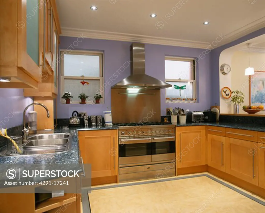 Stainless steel extractor and range oven in modern blue kitchen with fitted wood units