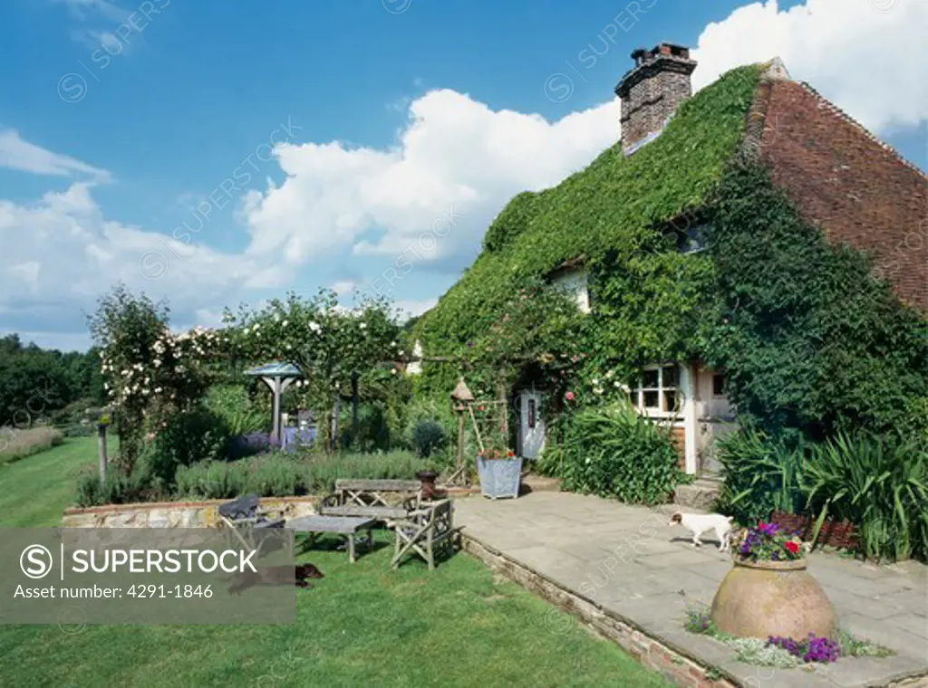 Traditional ivy-clad country cottage with large garden