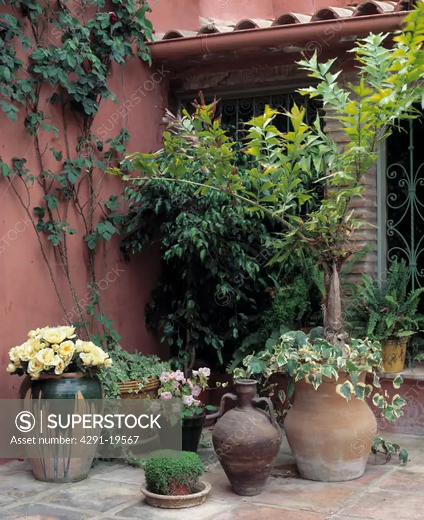 Corner of a courtyard with containers with ferns, ivyand begonias