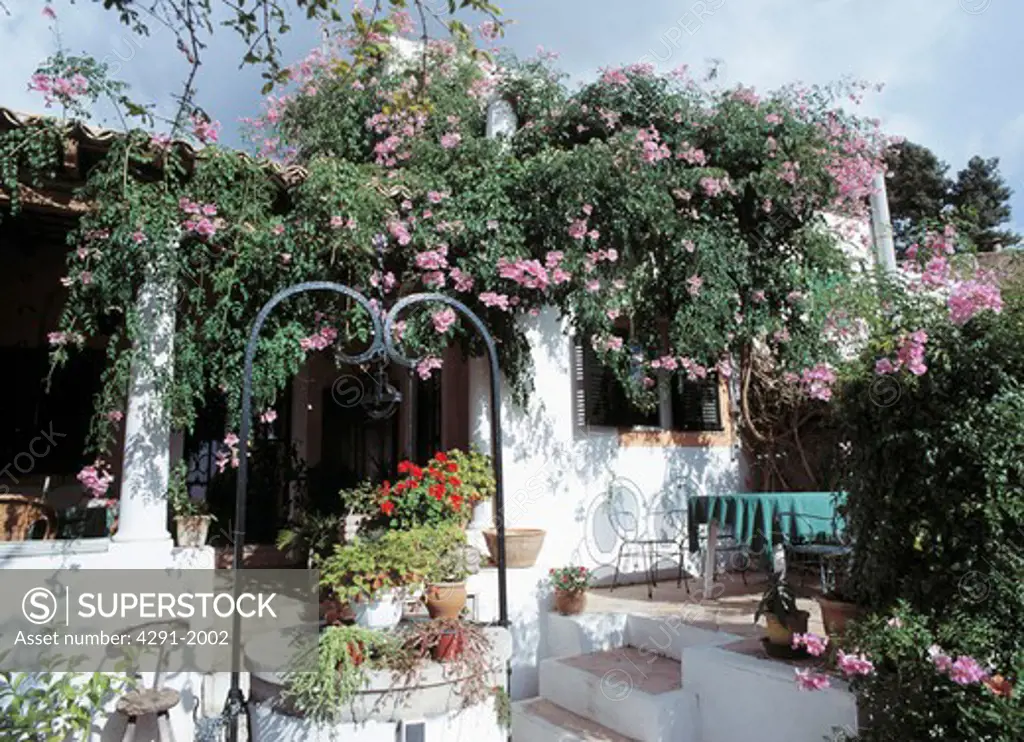 Pink climbing roses on traditional single-storey Mallorcan house with table and chairs on patio