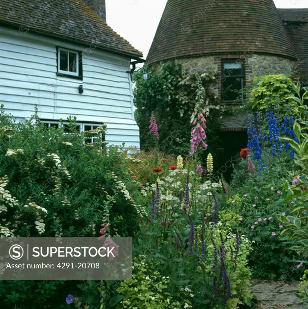 Colourful flowering plants in garden of country house in summer