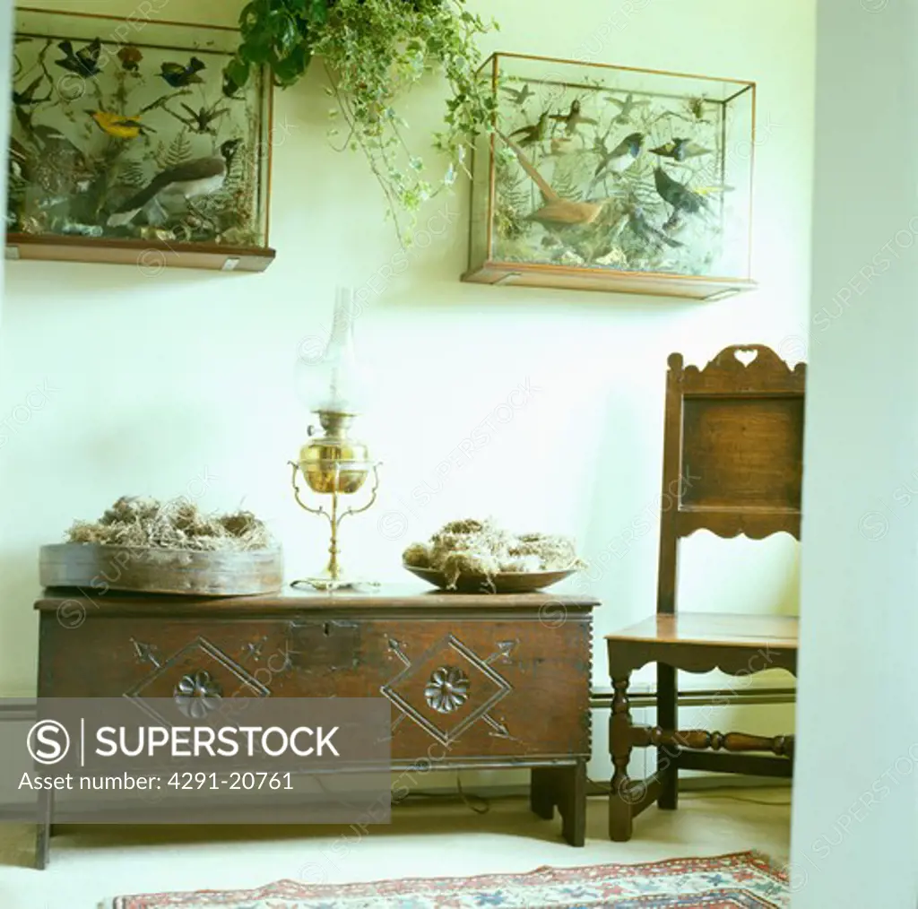 Stuffed birds in glass cases above antique carved wooden chest and chair in country hall