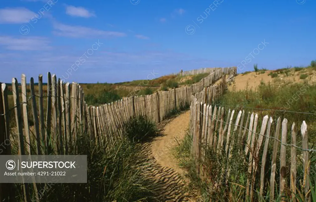 Sandy path between wooden fencing on sand dunes at Holkham beach in Norfolk