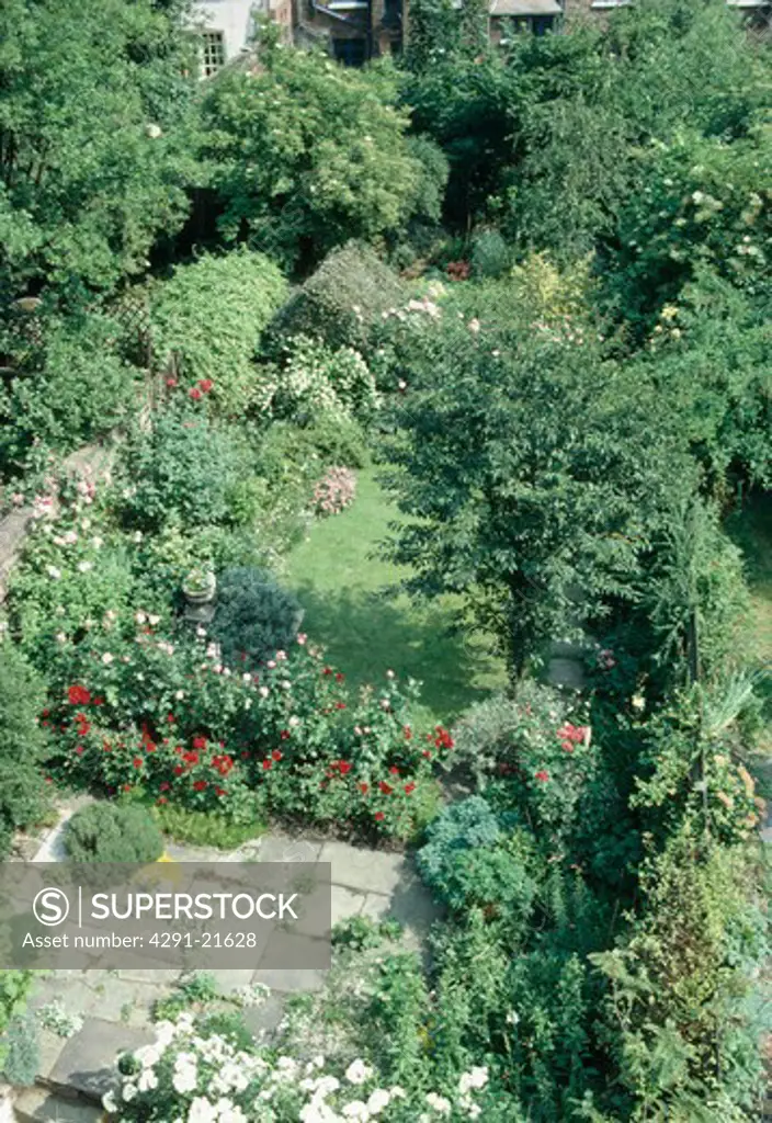 Birdseye view of trees and lawn in large town garden in summer