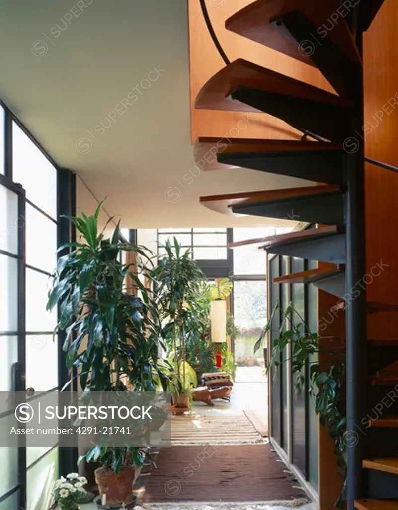 Tall houseplants in hall corridor with spiral staircase in Charles and Ray Eames house at Pacific Palisades