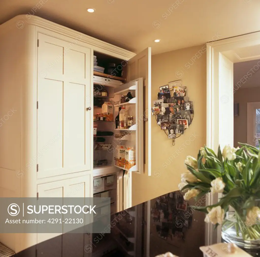 Neutral cupboard with built-in refrigerator and freezer in modern country kitchen