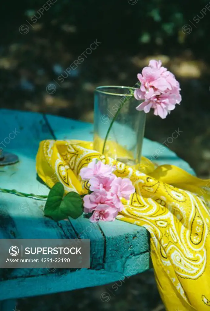 Still-Life of pink geraniums and yellow fabric