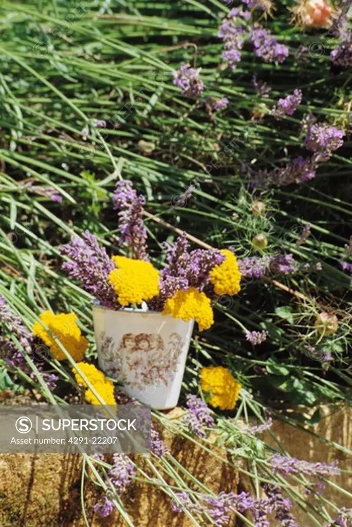 Still-Life of lavender