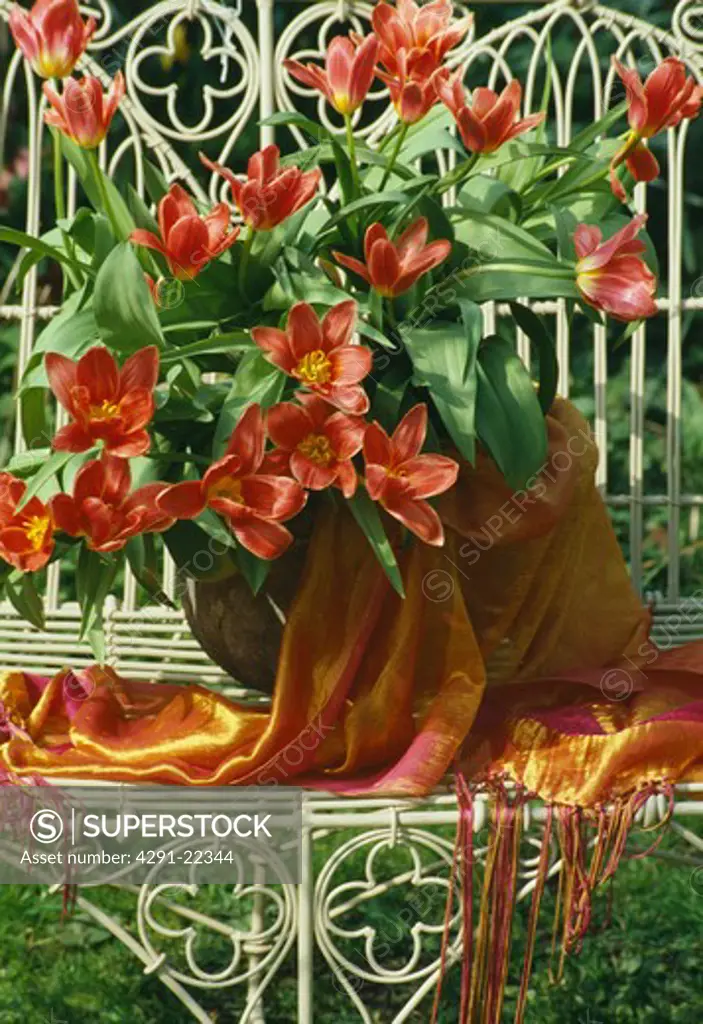 Still-Life of red tulips in jug on metal chair