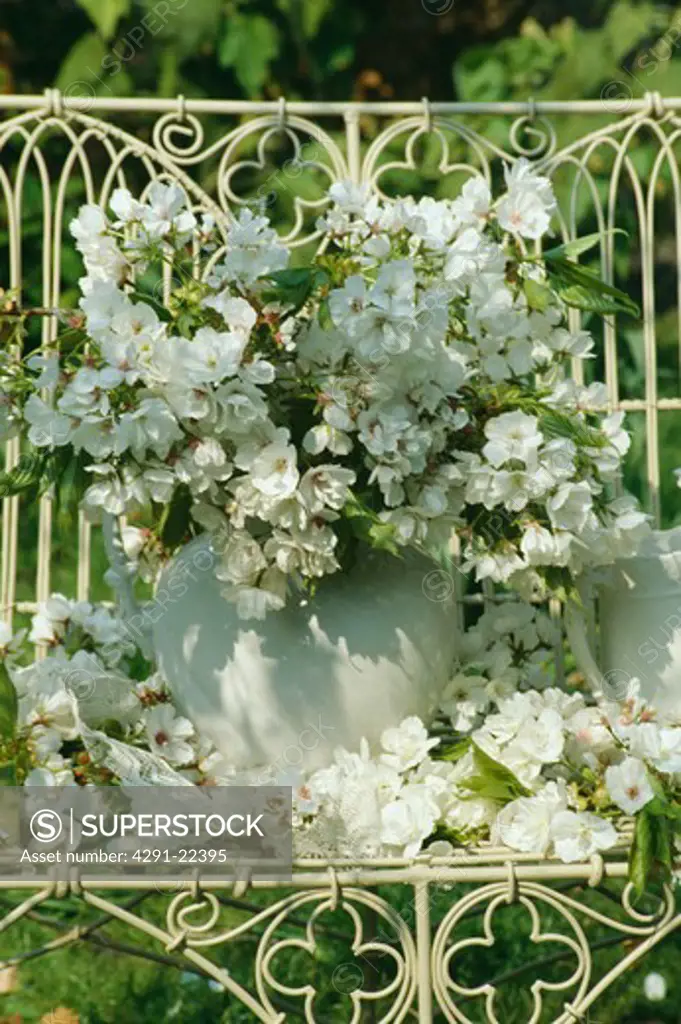 Still-Life of white spring blossom