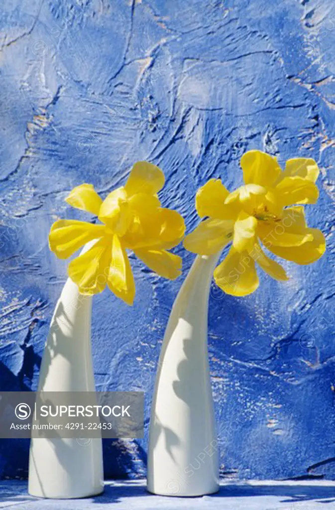 Still-Life of yellow tulips in white vases