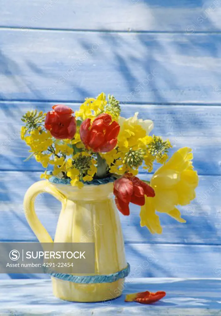 Still-Life of red and yellow tulips in yellow jug