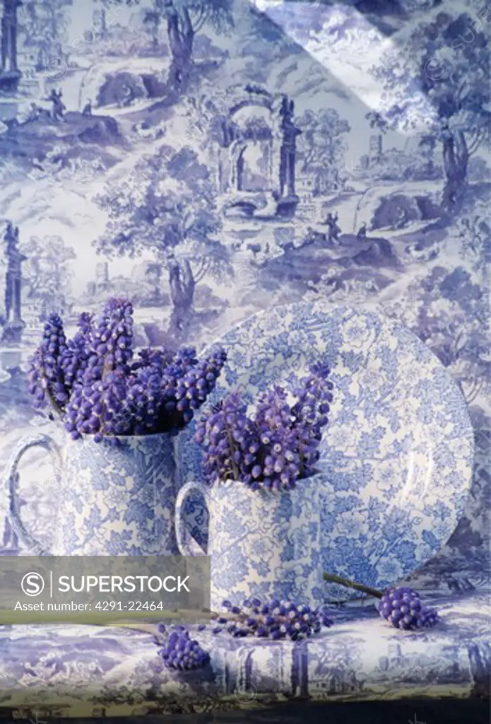Still-Life of blue muscari and blue and white jugs