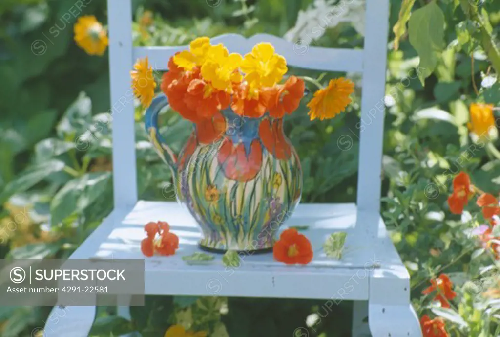 Still-life of orange and yellow nasturtiums in floral jug on old white chair