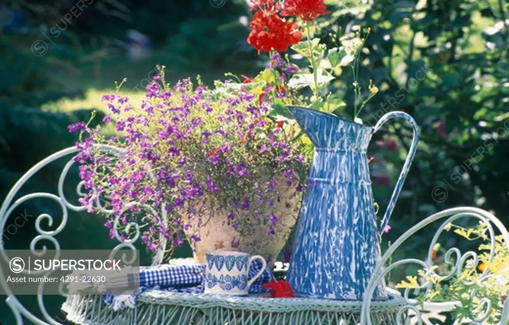 Still-life of blue enamel jug and lobelias in terracotta pot on table