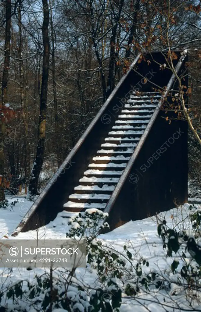 Snow on steps in winter woodland garden