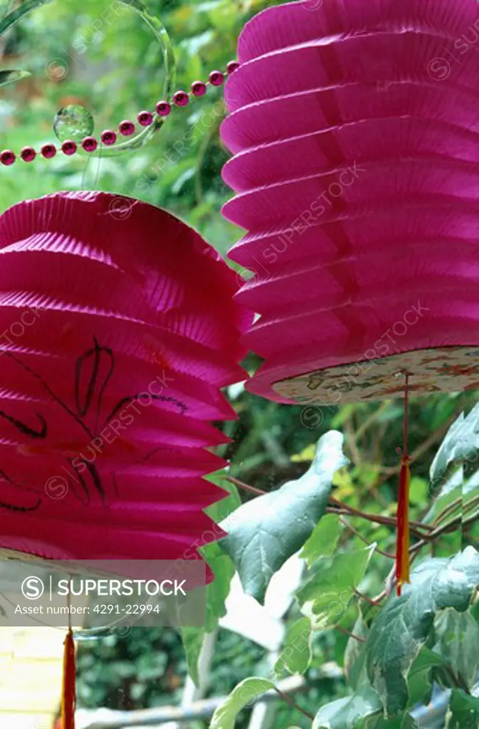 Close-up of bright pink Chinese paper lanterns