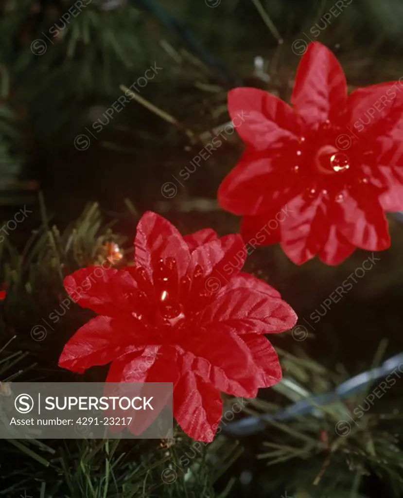 Close-up of red faux poinsettia flowers on Christmas tree