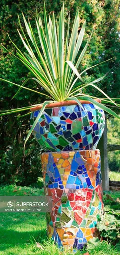 Close-up of variegated phormium in blue mosaic tiled pot on colourful mosaic-tiled plinth