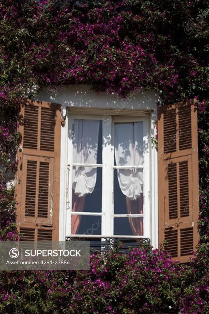 Wooden louvre shutters at French windows with white ruched blind