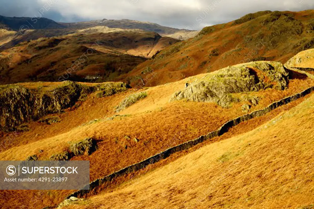 Craggy English hillside covered with dried bracken with mountains in the background