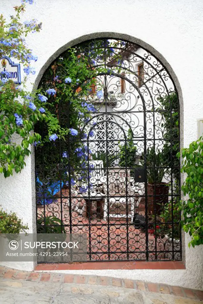 Blue plumbago beside ornate wrought iron gate with view of Spanish courtyard
