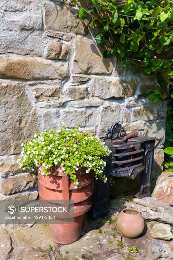 Close-up of plant in reclaimed chimney pot against stone wall