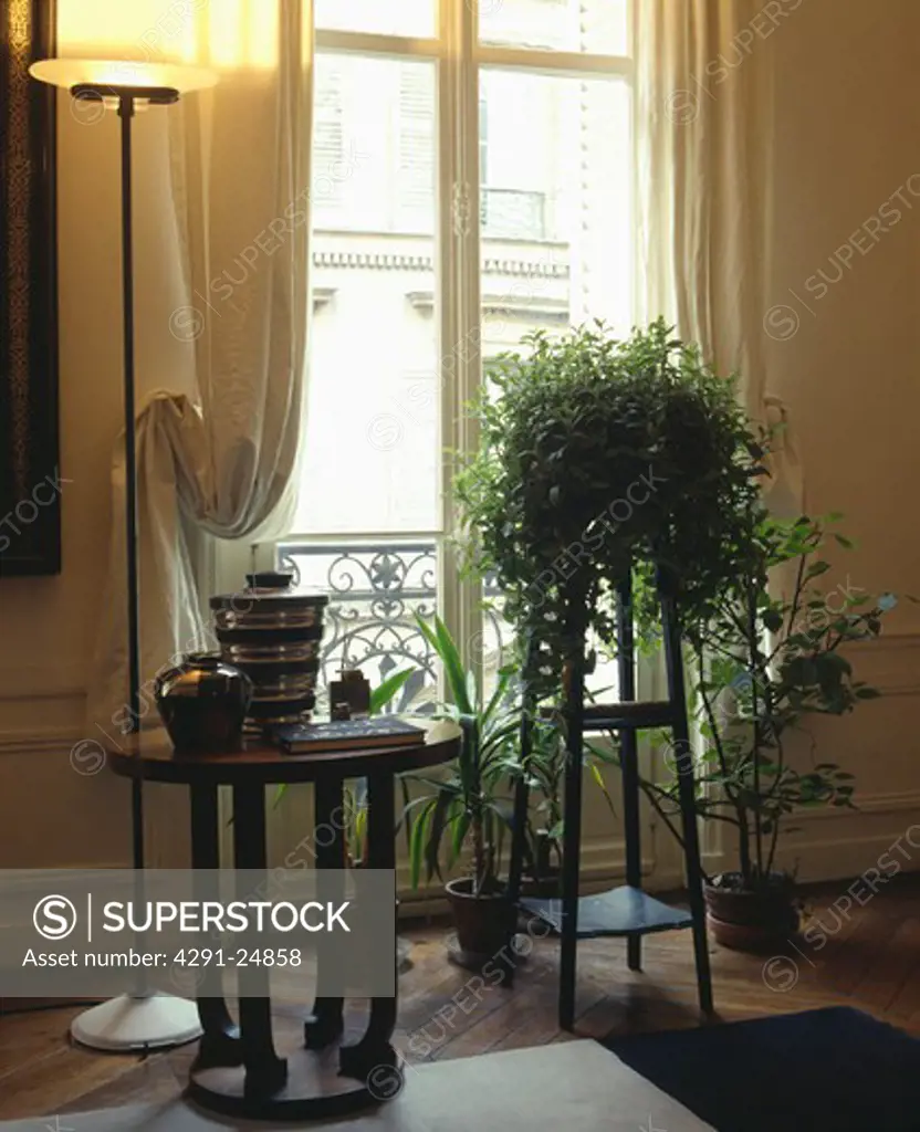 Uplighter and green plant on table in French living room
