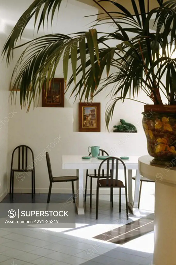 Indoor palm in pot in white eighties dining room with white table and black chairs on white floor tiles