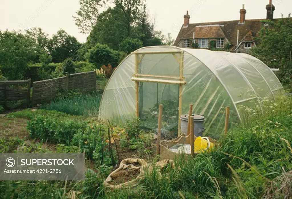Corner of agardenwith peas and onions , a poly tunnel and a view ofthe back of manor house